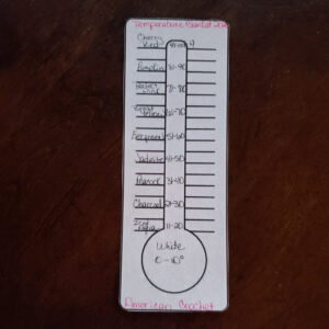 Temperature Color Swatch | American Crochet @americancrochet.com