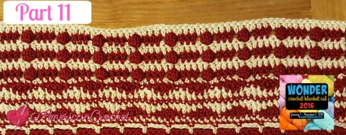 Wonder Crochet Blanket 2016 Crochet Along Part 11 | Crochet Pattern | American Crochet @americancrochet.com
