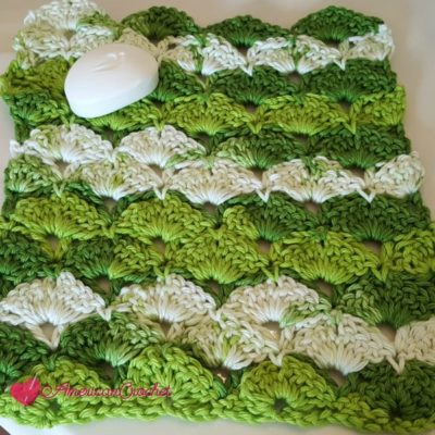 Apple Juicy Washcloth