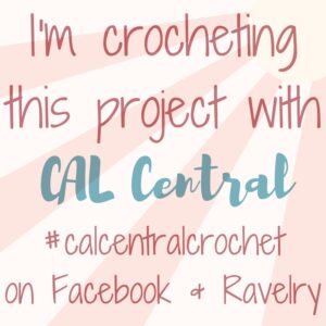 Picnic Pocket Napkin