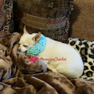 Vintage Lace Dog Collar | Free Crochet Pattern | American Crochet @americancrochet.com #freecrochetpattern