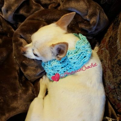 Vintage Lace Dog Collar