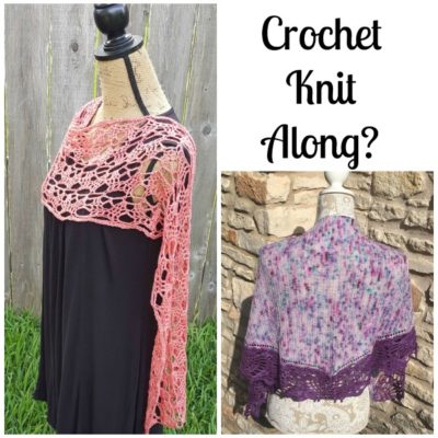 Who would like a crochet/knit along?