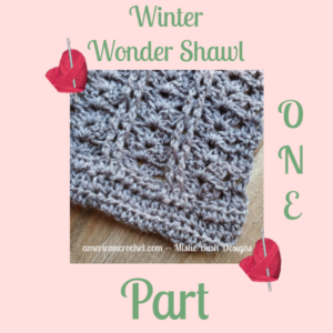 Winter Wonder Shawl Part One | American Crochet @americancrochet
