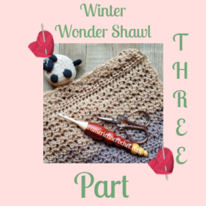 Winter Wonder Shawl Part Three | American Crochet @americancrochet