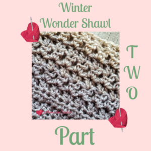 Winter Wonder Shawl Part Two | American Crochet @americancrochet