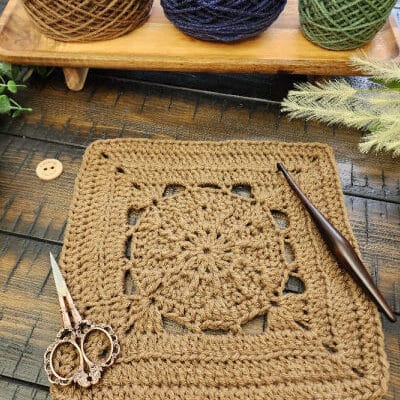 Hype Square Crochet Pattern – Riverwood Square CAL Block #22